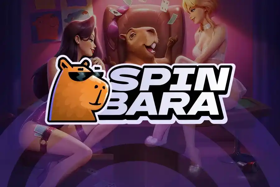 SpinBara casino review section 4